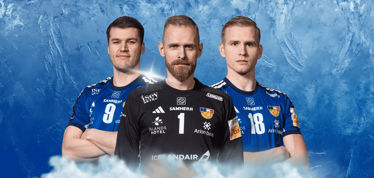 Ísland - Frakkland heimasíða