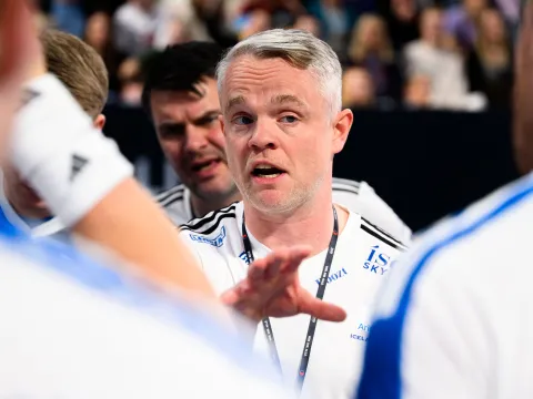 Snorri Steinn Guðjónsson