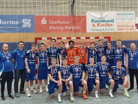 2008-2009 landslið karla