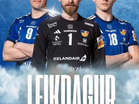 Ísland - frakkland æfingamót