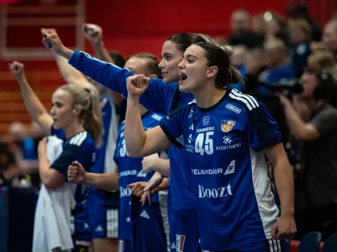 Sara Dögg Hjaltadóttir