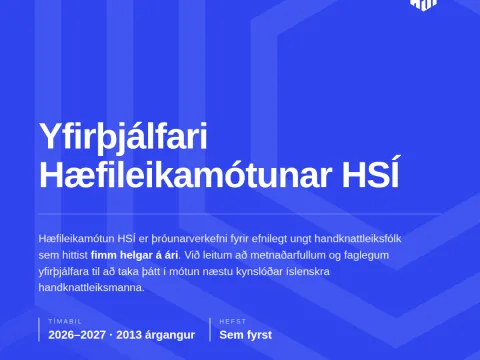 Yfirþjálfari hæfileikamótunar HSÍ