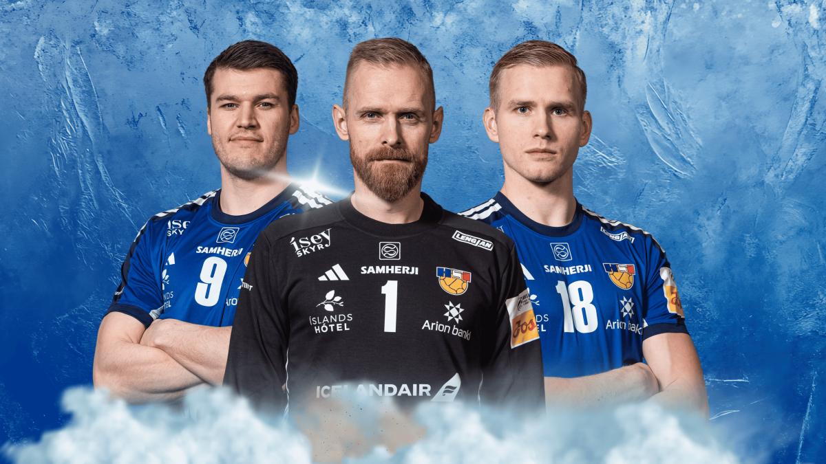 Screenshot or Official Image for hsi.is - Handknattleikssamband Íslands | HSÍ