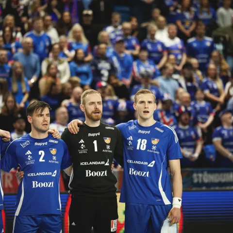 A landslið karla