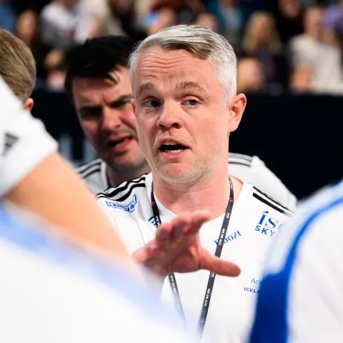 Snorri Steinn Guðjónsson